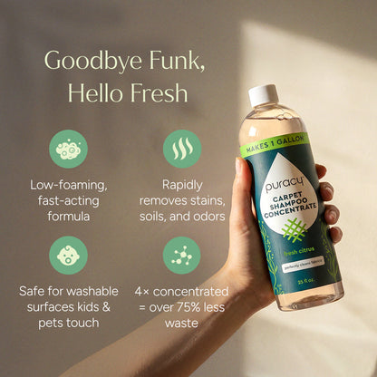 Carpet & Upholstery Shampoo