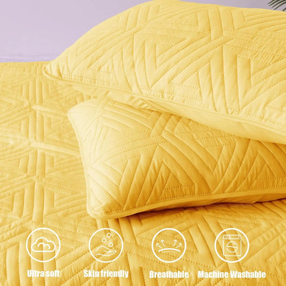 Height
5.00
unit
Organization
:California King Quilt Set, 3-Piece l Bedspread with Pillow Shams,